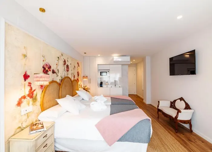 Aniana Alojamiento Boutique Logroño